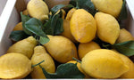 El jugo de limón y sus beneficios